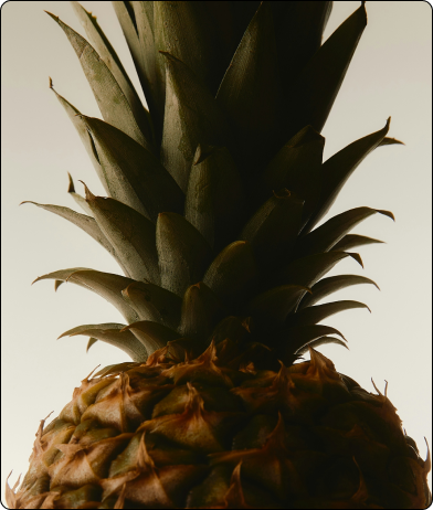 Pineapple